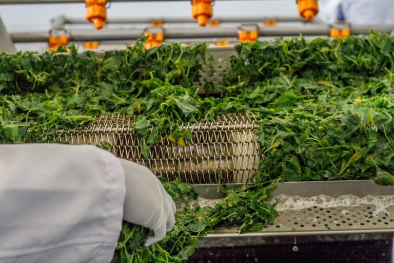 News & Articles Mace Foods Ltd